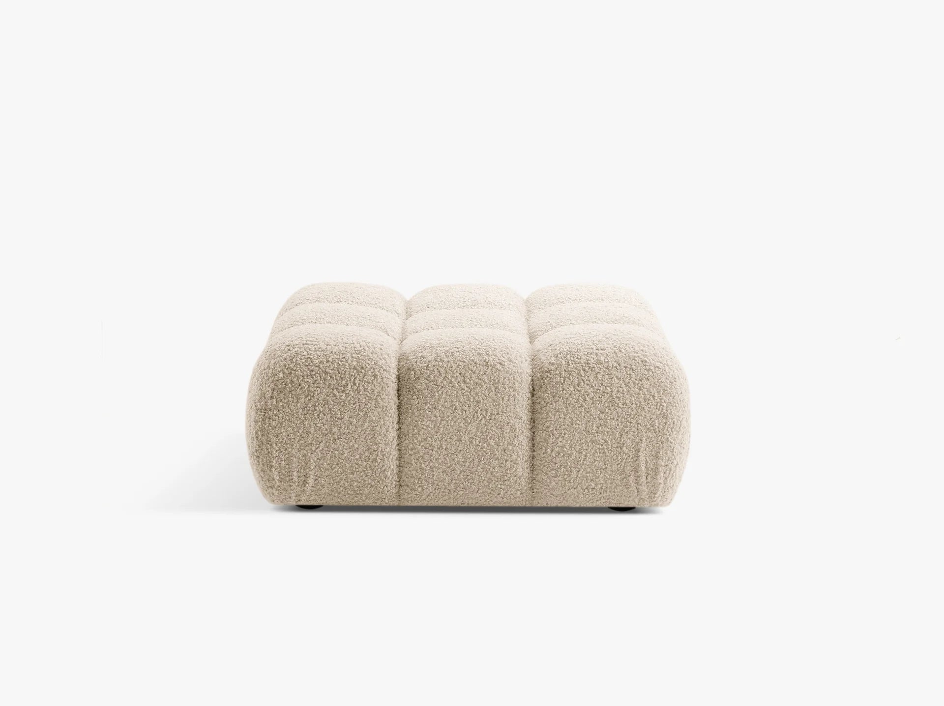 Bellis tabure - boucle