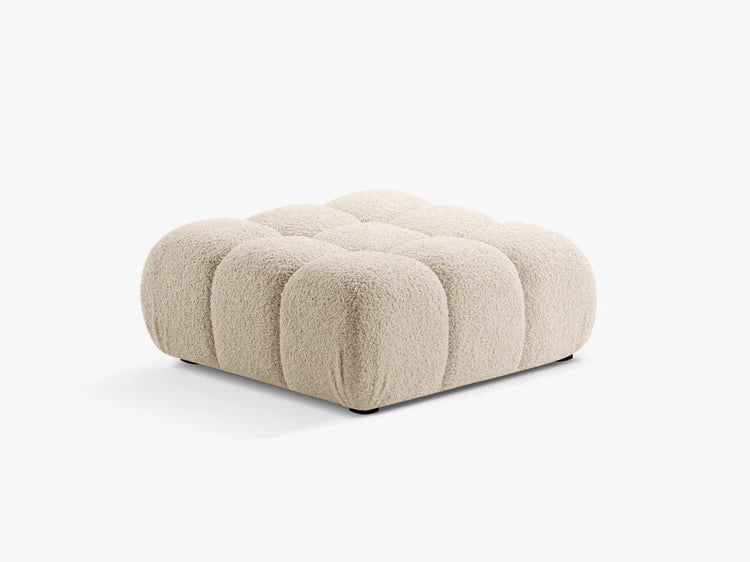 Bellis tabure - boucle