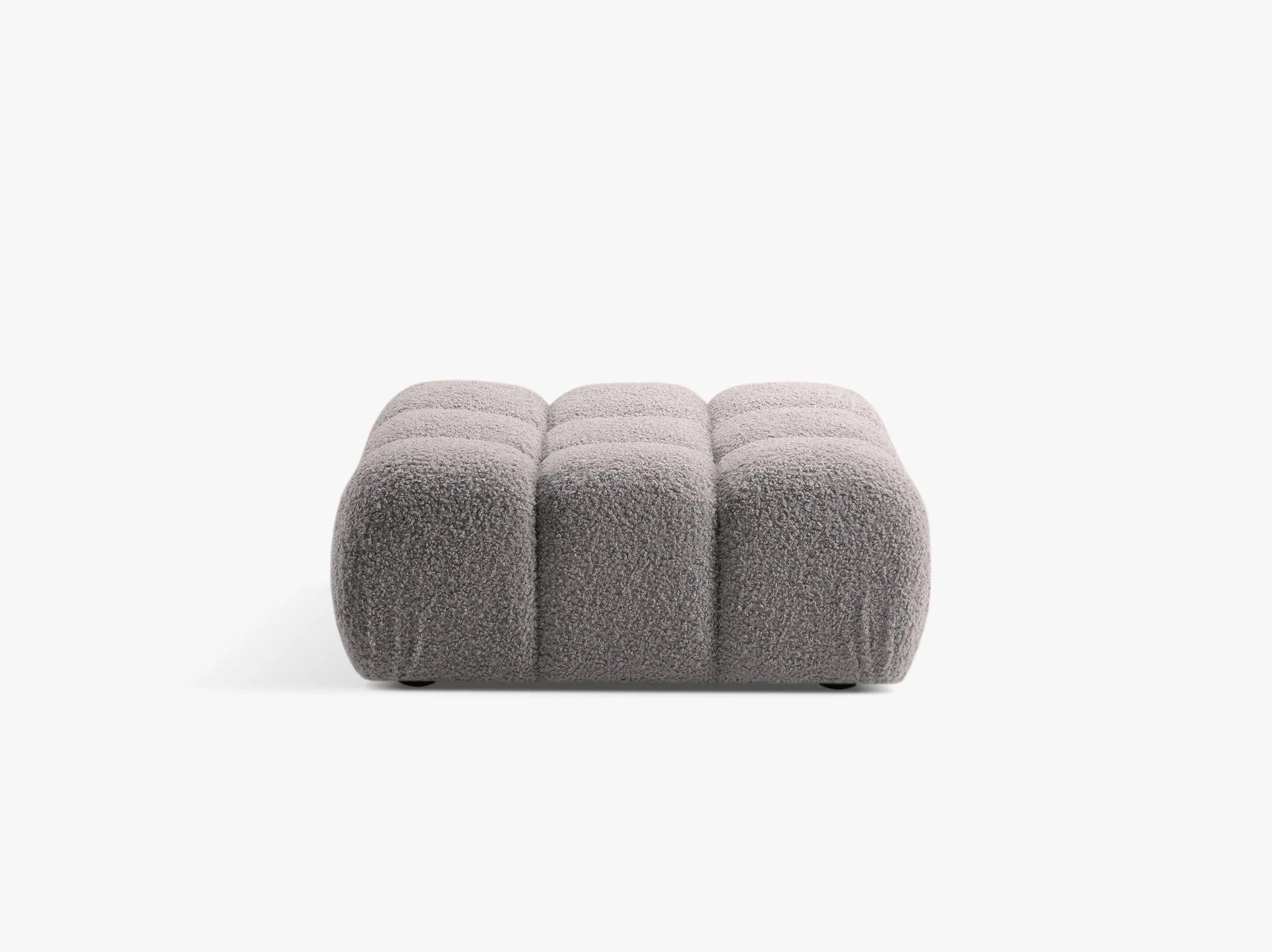 Bellis tabure - boucle