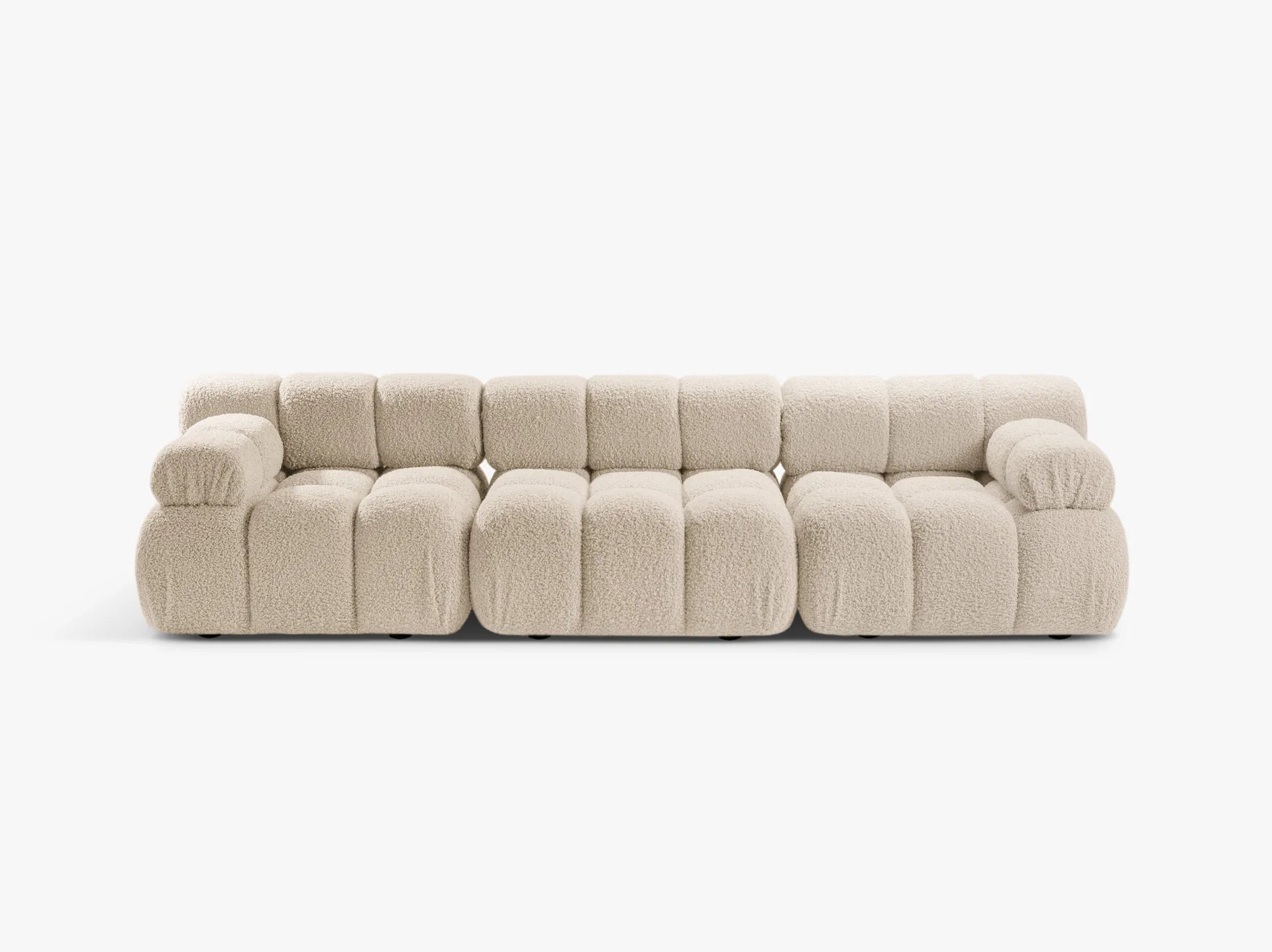 Bellis trosjed – boucle